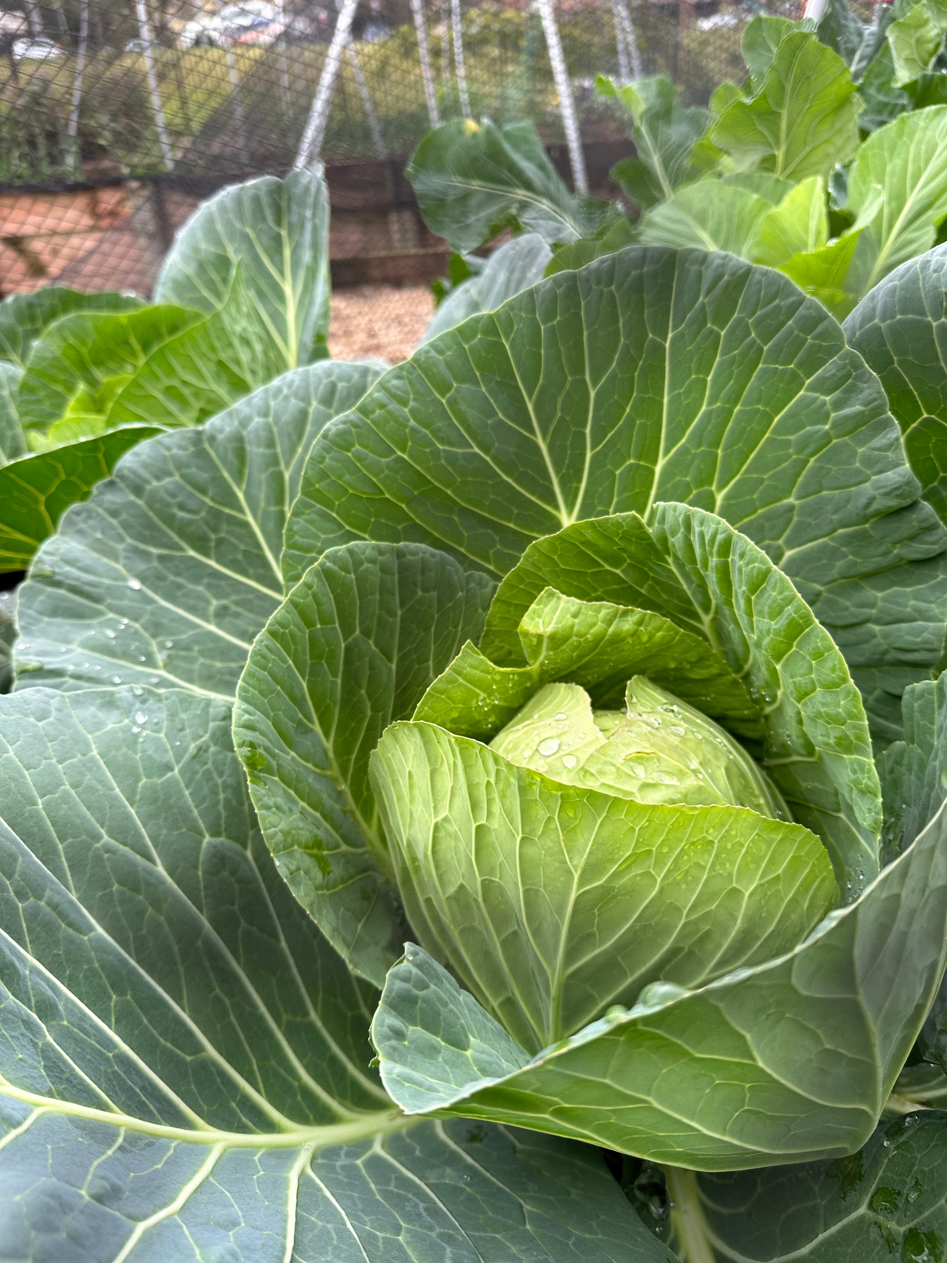 Blog Article Featured Image