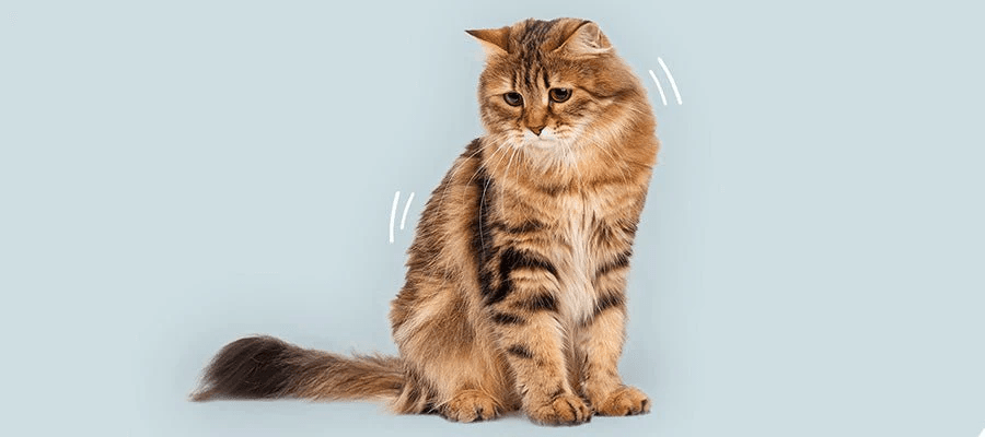 Blog Article Featured Image