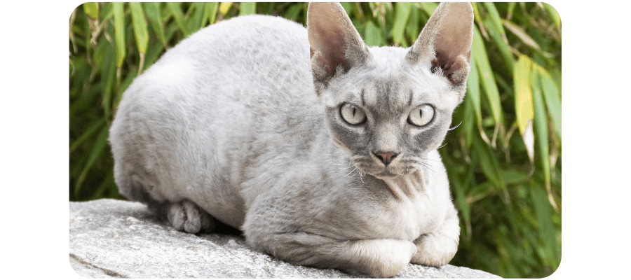 Blog Fifty-fifty Image