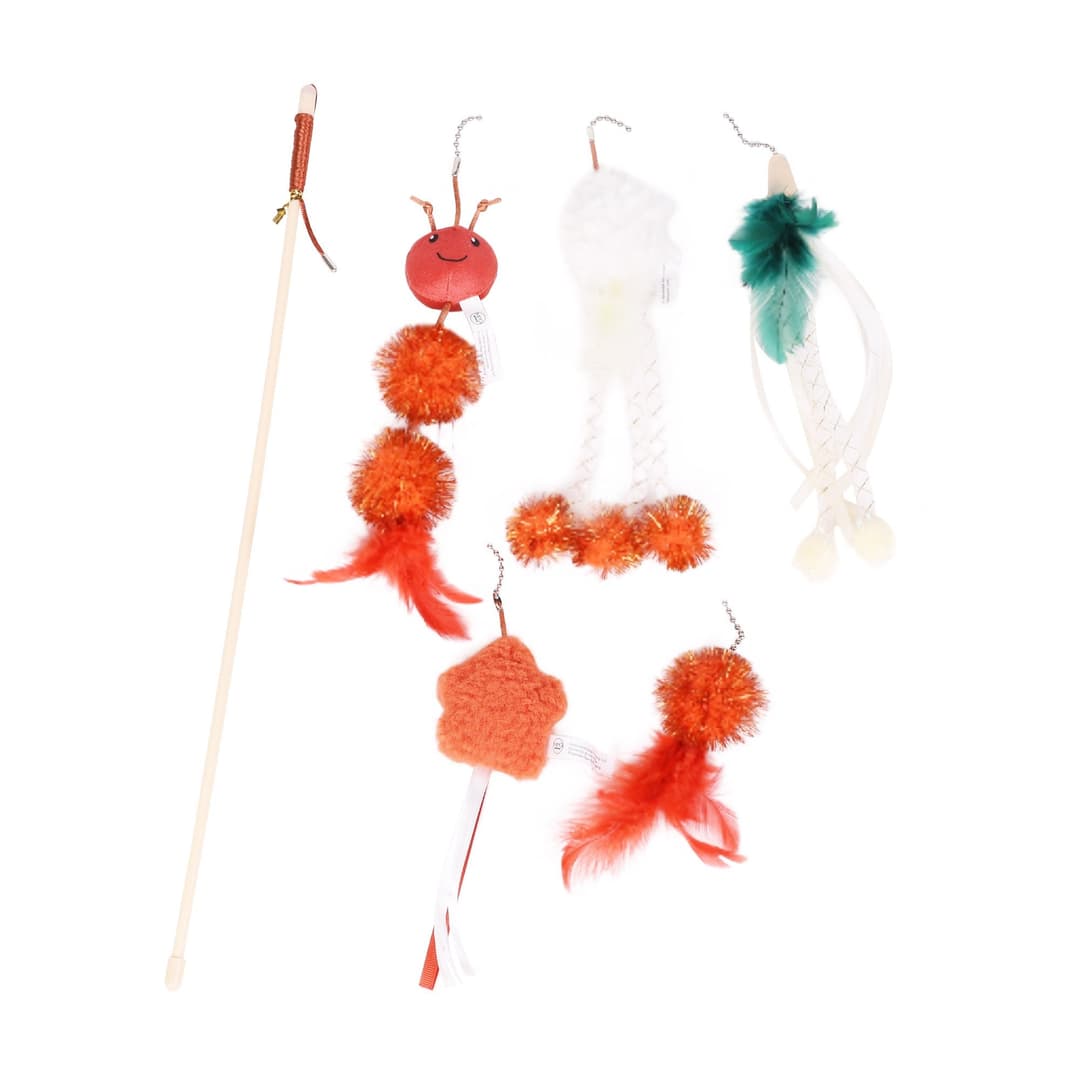 Blog Fifty-fifty Image