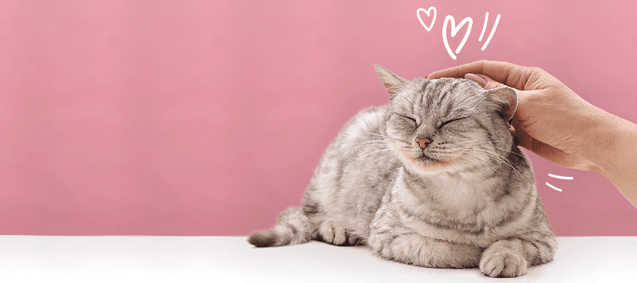 Blog Article Featured Image