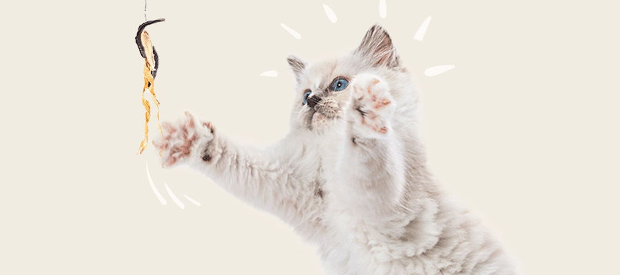 Blog Article Featured Image