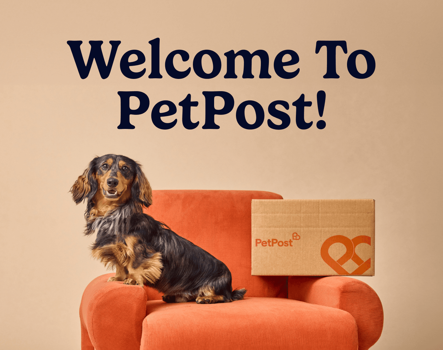 Welcome To PetPost
