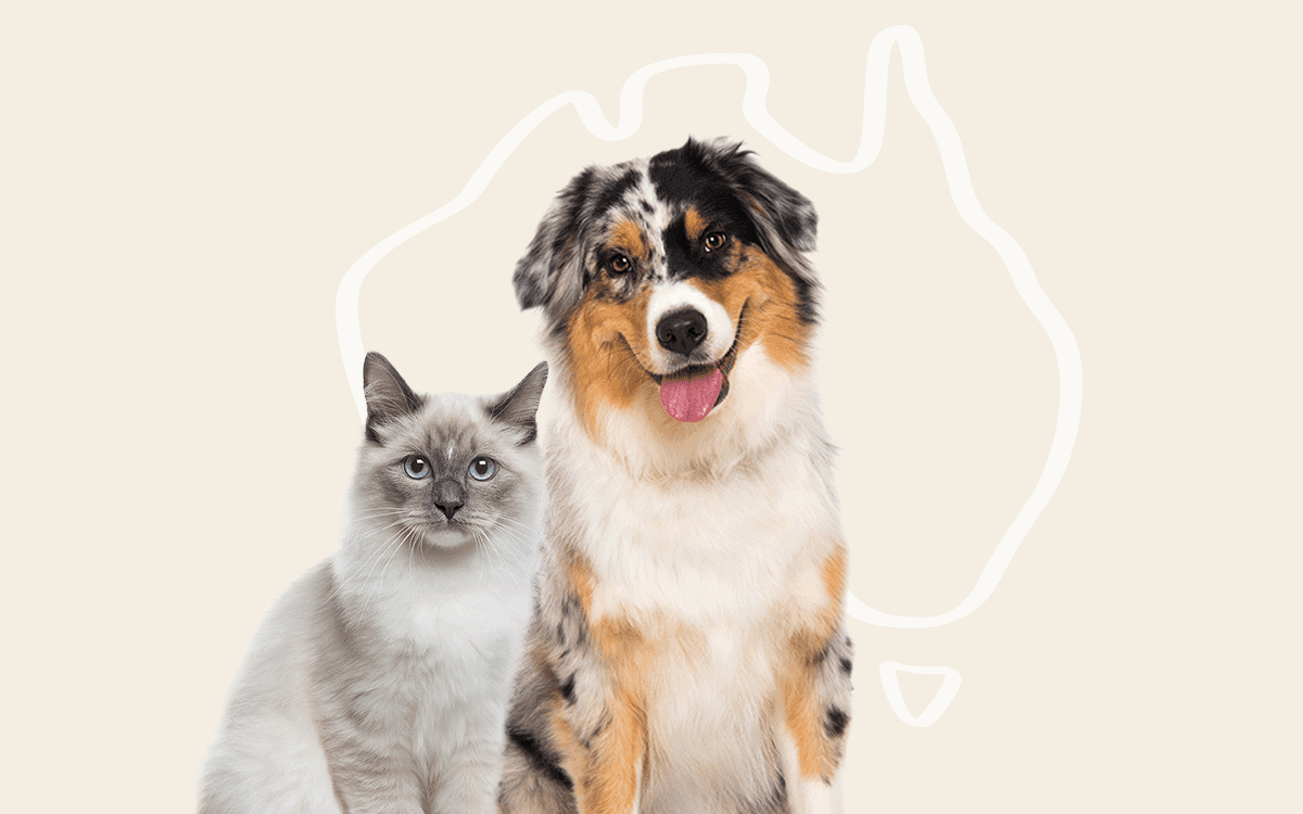 Blog Article Featured Image