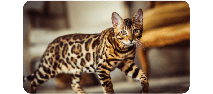 Blog Fifty-fifty Image