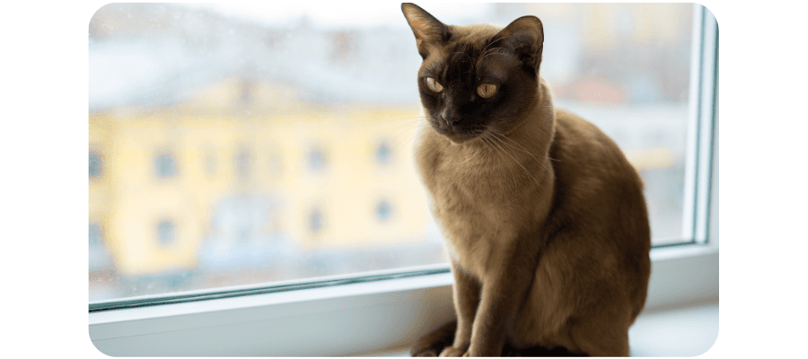 Blog Fifty-fifty Image