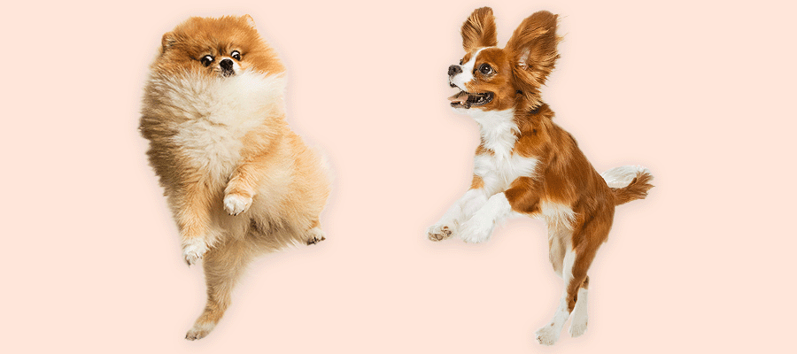 Blog Article Featured Image