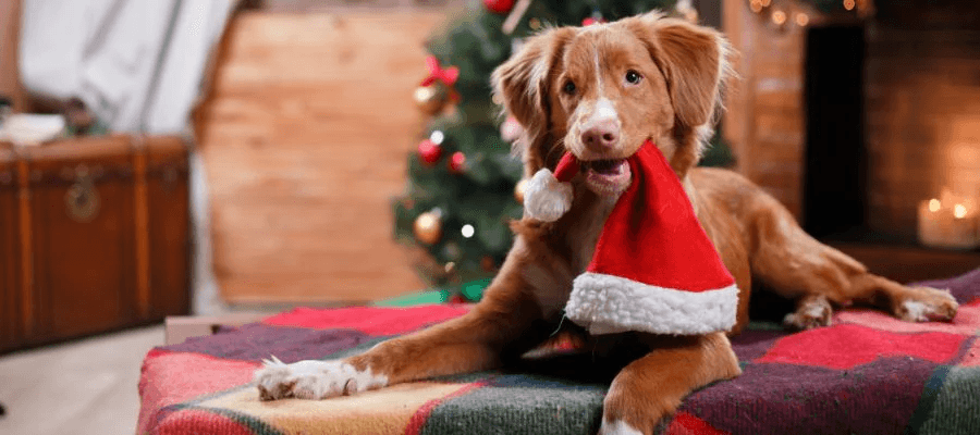 Blog Article Featured Image