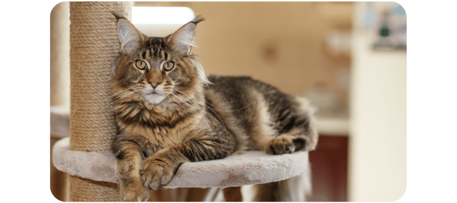 Blog Fifty-fifty Image