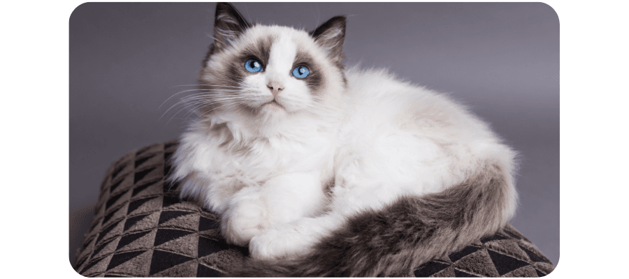 Blog Fifty-fifty Image