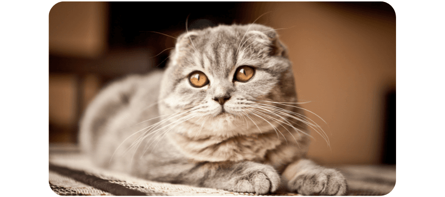 Blog Fifty-fifty Image