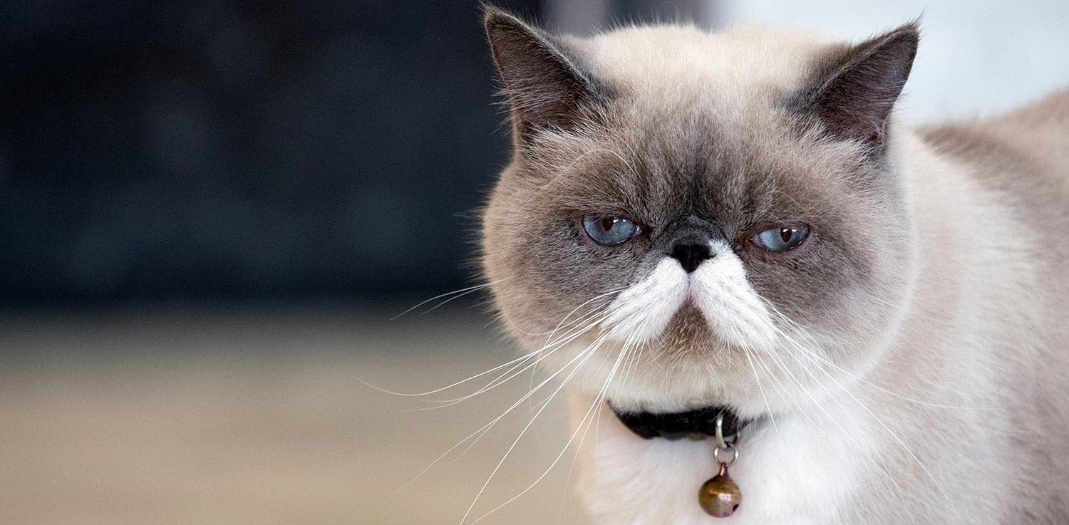 Blog Article Featured Image