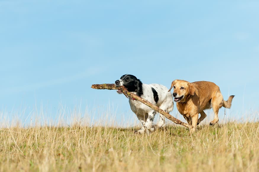 Blog Article Featured Image