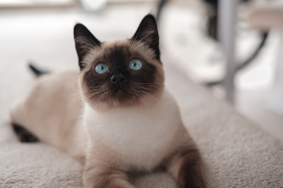 Blog Fifty-fifty Image