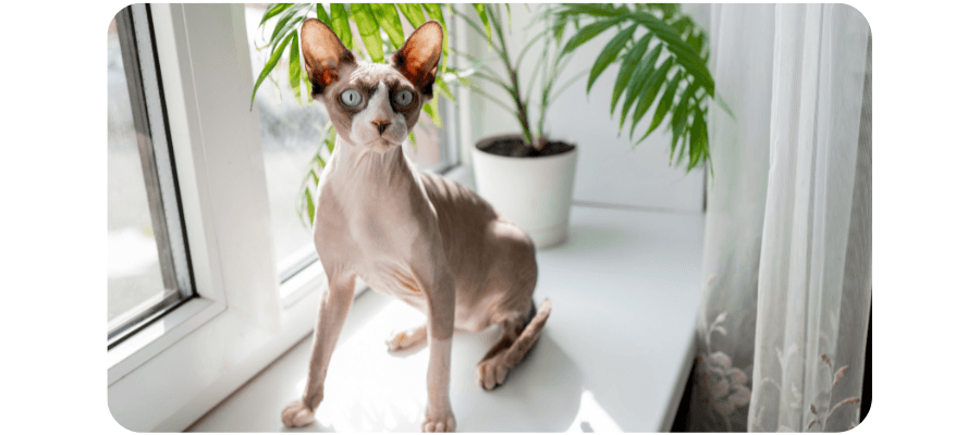 Blog Fifty-fifty Image