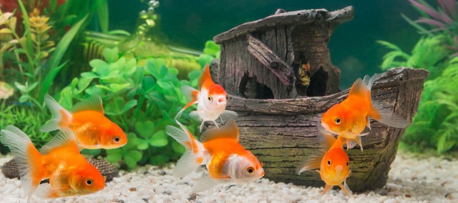 Blog Article Featured Image