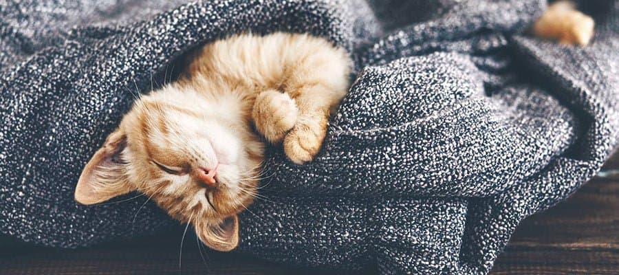 Blog Article Featured Image