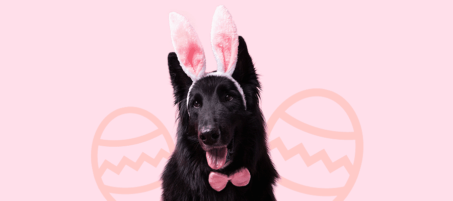 Blog Article Featured Image