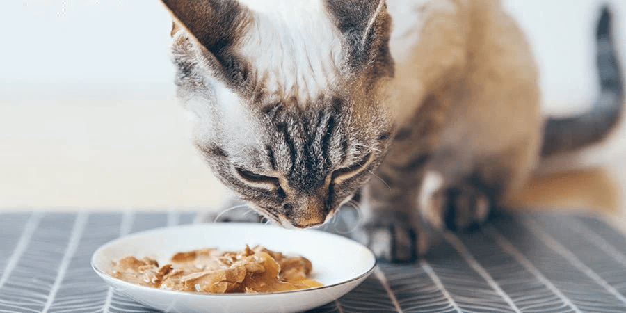 Blog Article Featured Image